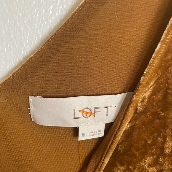 LOFT Brown Velvet Sleeveless Blouse - Picture 9 of 10